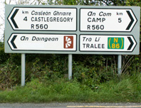 Irish Road Sign 5 showing the name Dingle covered over
