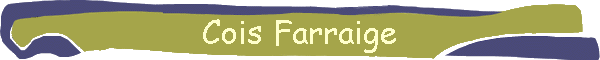 Cois Farraige Dingle